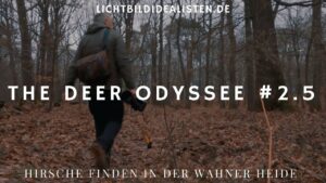 Darf man Wildlifespots preisgeben Hirsche finden in der Wahner Heide The Deer Odyssee 2.5