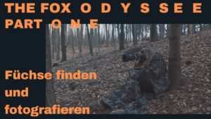 Fuechse finden und fotografieren The Fox Odyssee Part One