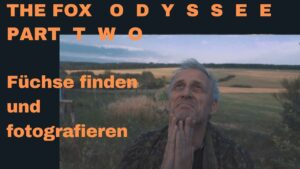 Fuechse finden und fotografieren The Fox Odyssee Part Two